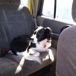 Meet your Posher, Billie